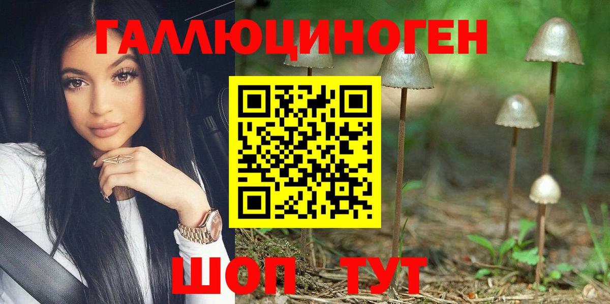 Псилоцибиновые грибы прущие грибы Шебекино